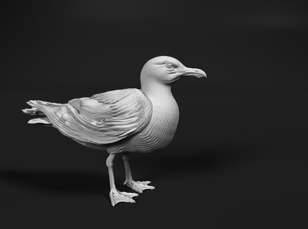 Herring Gull 1:35 Standing 2 in Tan Fine Detail Plastic