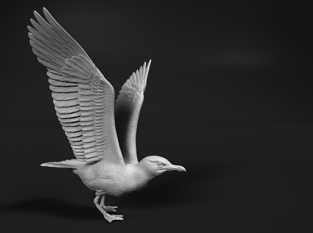 Herring Gull 1:6 Ready for take off in White Natural Versatile Plastic