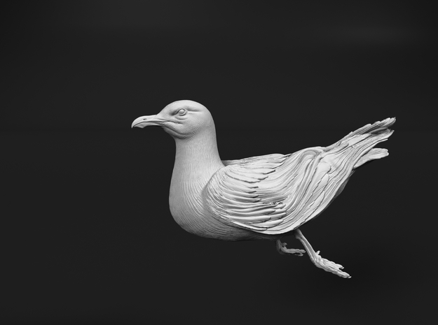 Herring Gull 1:6 Swimming 1 in White Natural Versatile Plastic