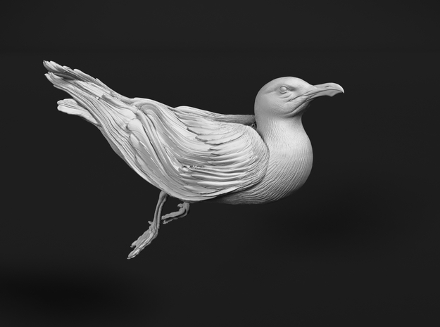 Herring Gull 1:16 Swimming 2 in Tan Fine Detail Plastic