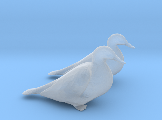 Ducks Mallard Sitting in Clear Ultra Fine Detail Plastic