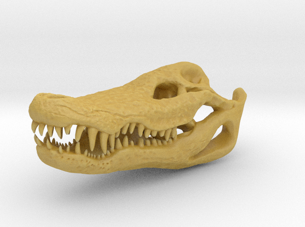 Crocodile Head Skeleton Pendant [30mm] in Tan Fine Detail Plastic