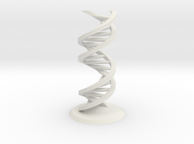 Accurate DNA Model in White Natural Versatile Plastic