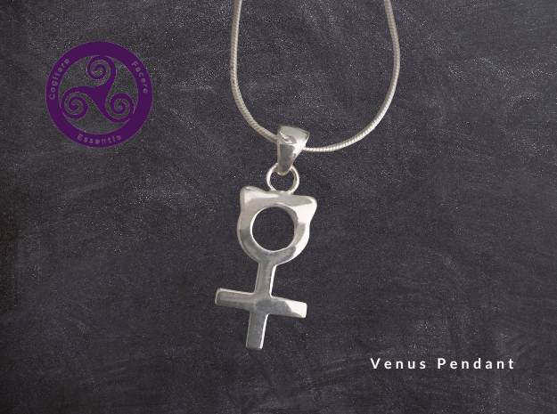 Venus Pendant in Polished Silver (Interlocking Parts): Small