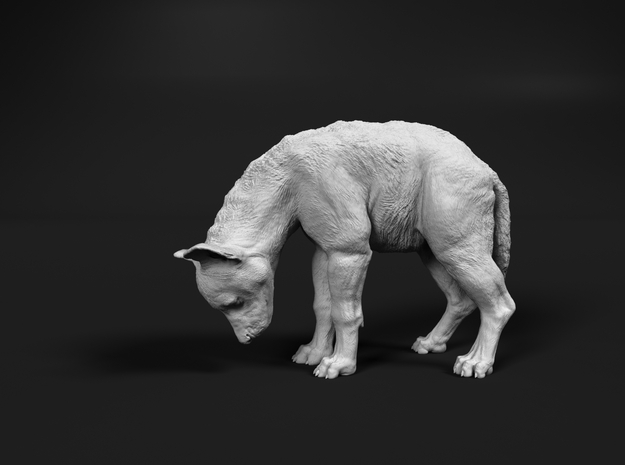 Spotted Hyena 1:16 Cub looking down in White Natural Versatile Plastic