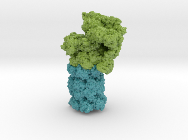 Proteasome 5GJQ in Glossy Full Color Sandstone: Extra Small