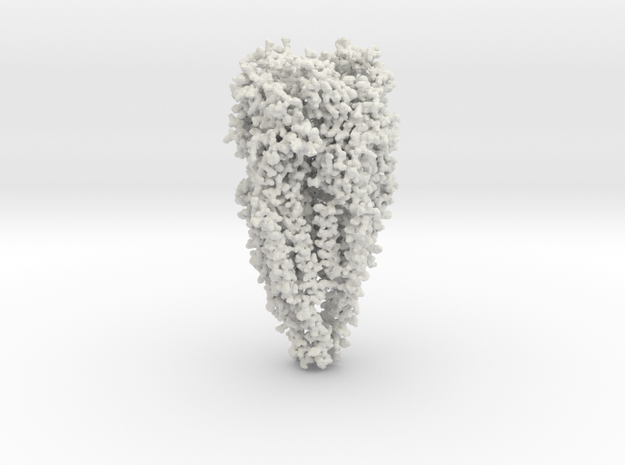 Acetylcholine Receptor - full Oligomer in White Natural Versatile Plastic