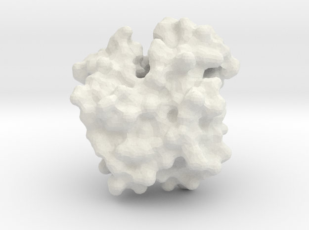 Human Hemoglobin Monomer - Oxy State - Surface in White Natural Versatile Plastic
