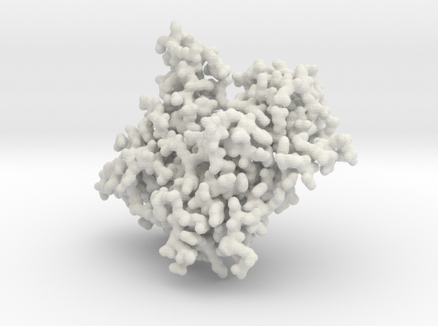Actin Monomer - All Atom in White Natural Versatile Plastic