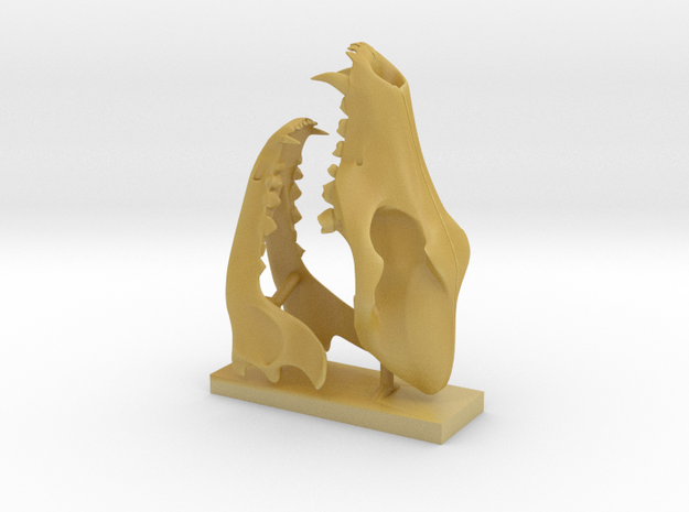  3D Printed Wolf Skull Model (1:6 Scale ) in Tan Fine Detail Plastic