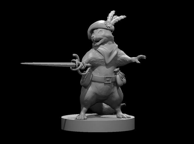 Raccoon Swashbuckler in Clear Ultra Fine Detail Plastic