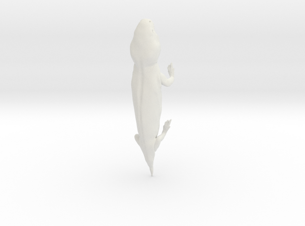 PANTYLUS REVISED in White Natural Versatile Plastic