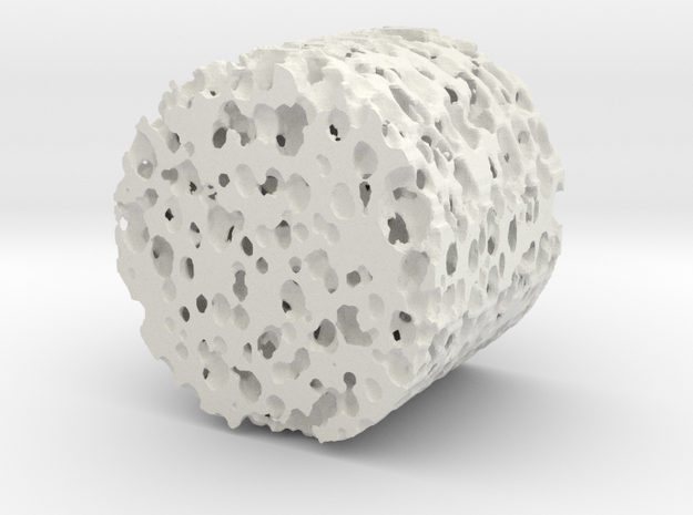 Porous foam in White Natural Versatile Plastic