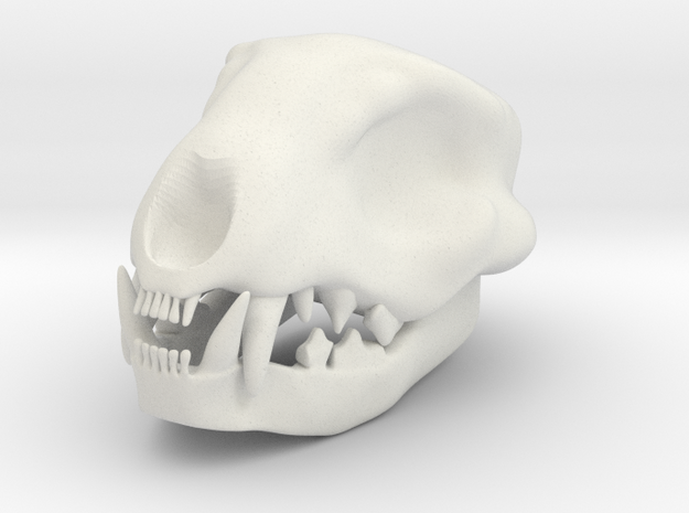 Cat Skull 1.5 Inches
