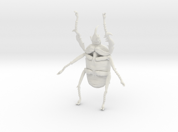  Giant Beetle - Goliath 7cm - Scarab in White Natural Versatile Plastic