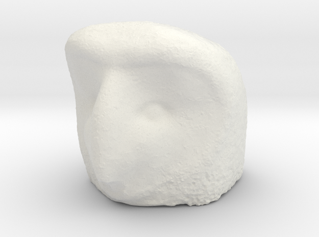 Owl head piece   in White Natural Versatile Plastic