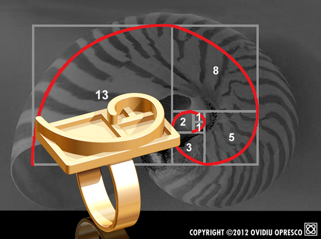 Fibonacci Spiral - Ring in Polished Gold Steel
