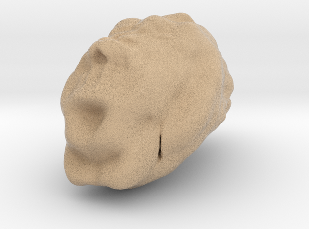 Sculptris Brain in Full Color Sandstone