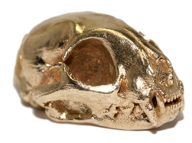 Cat skull - 45 mm in Natural Brass
