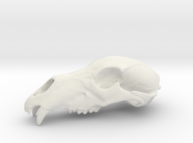 Bear Skull. WT-07. 6cm.  in White Natural Versatile Plastic