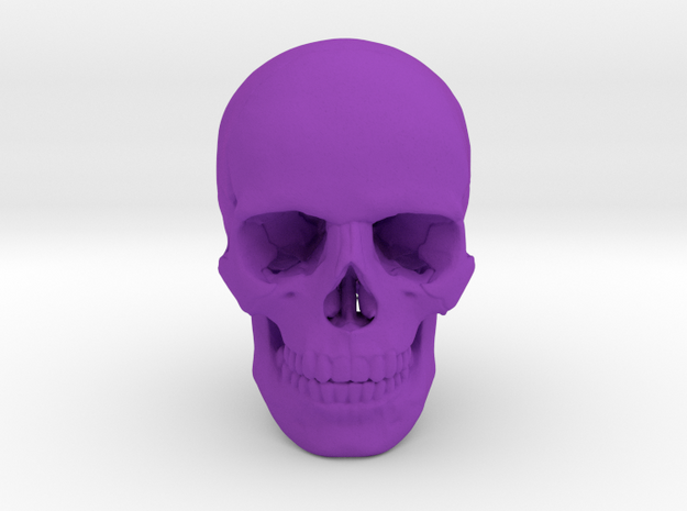 25mm 1in Human Skull Crane Schädel че́реп in Purple Processed Versatile Plastic