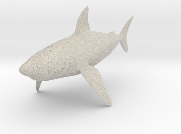 Shark in Natural Sandstone