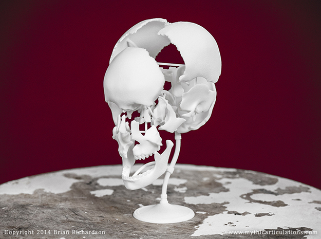 Beauchene Skull in White Natural Versatile Plastic