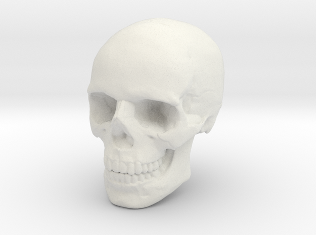 8mm 0.3in Human Skull for earring in White Natural Versatile Plastic