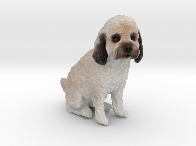 Custom Dog Figurine - Leo in Full Color Sandstone