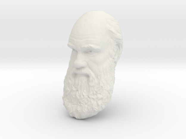 Charles Darwin 15" Life Size Head, Wall Mount in White Natural Versatile Plastic