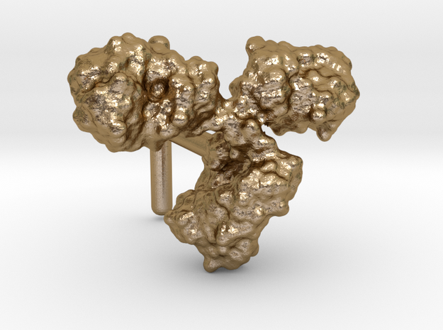 Antibody cufflink (surface) in Polished Gold Steel