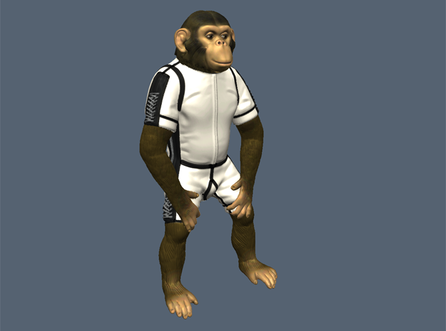 "HAM" Chimp Mercury Astronaut (Figure 130mm) in White Natural Versatile Plastic