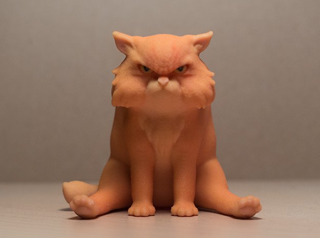 Garfi - The angry cat