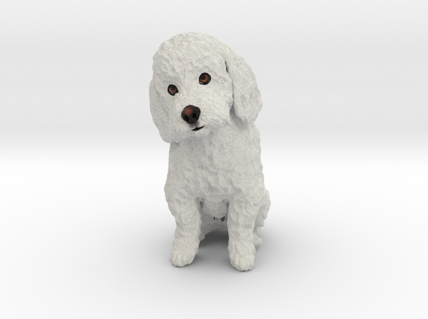 Custom Dog Figurine - Murphy in Full Color Sandstone