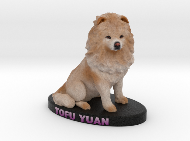 Custom Dog Figurine - Tofu Yuan in Full Color Sandstone