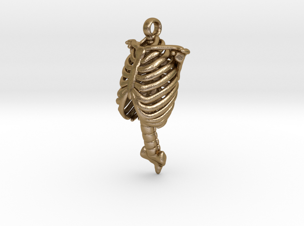 Rib Cage Pendant in Polished Gold Steel