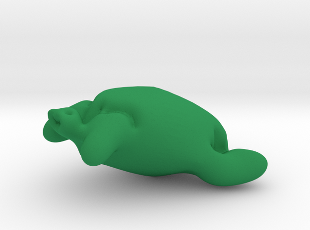 Essence Of Turtle in Green Processed Versatile Plastic