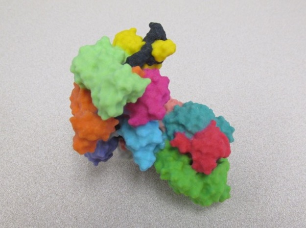Immune cascade complex in Full Color Sandstone
