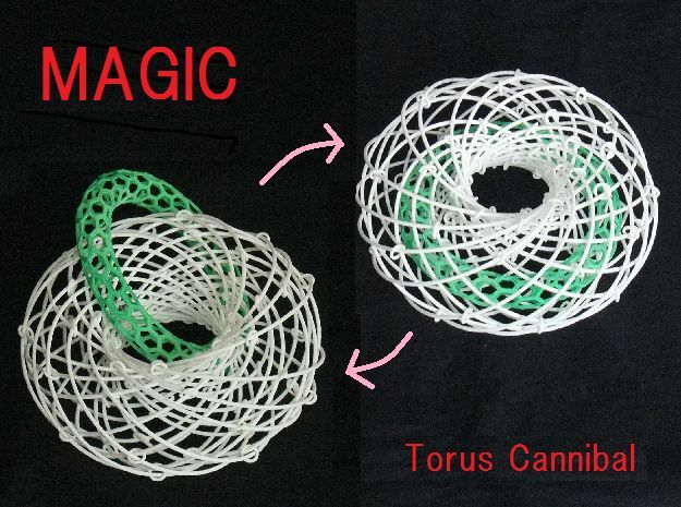 Torus Magic with Ring 2 in White Natural Versatile Plastic