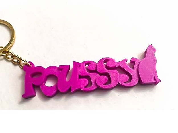 Poussy - Keychain in White Natural Versatile Plastic