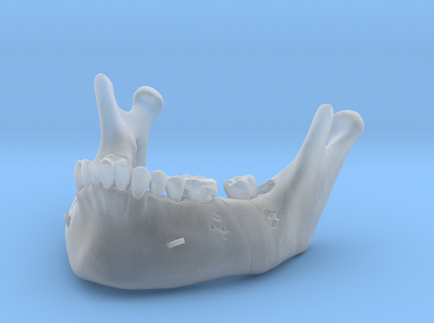 Subject 2o | Mandible (After IMDO) in Tan Fine Detail Plastic