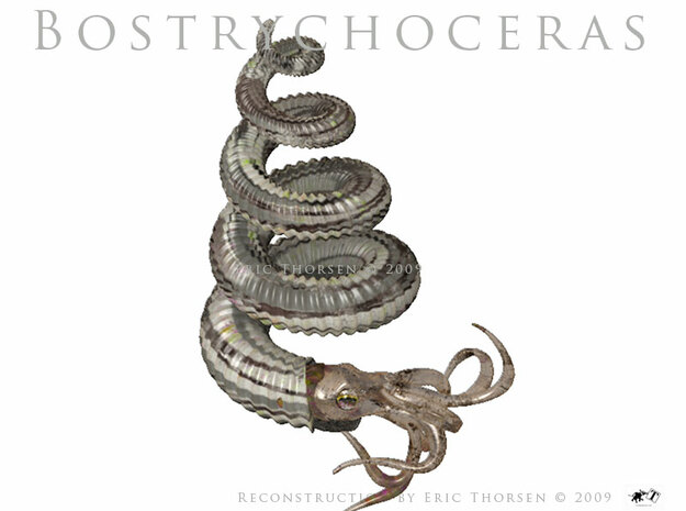 Bostrychoceras-8.5cm in Tan Fine Detail Plastic
