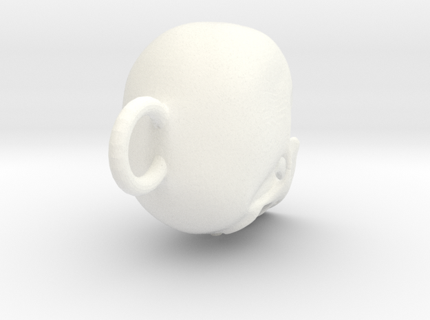 Skull  in White Processed Versatile Plastic