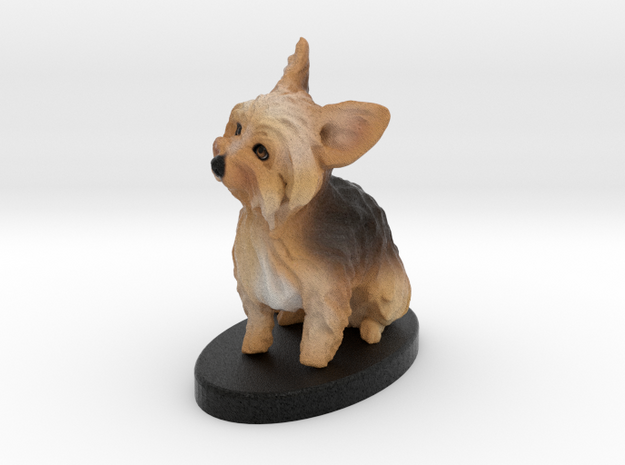 Custom Dog Figurine - Callie in Full Color Sandstone