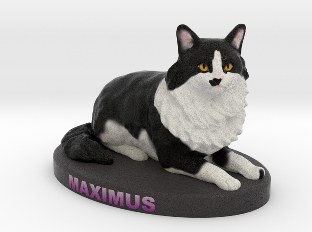 Custom Cat Figurine - Maximus in Full Color Sandstone