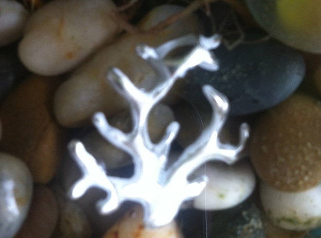 Coral pendant in Fine Detail Polished Silver