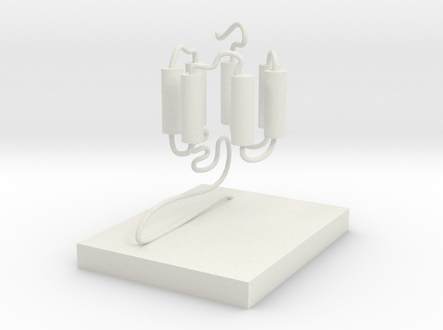 GPCR(3D With Stand) in White Natural Versatile Plastic