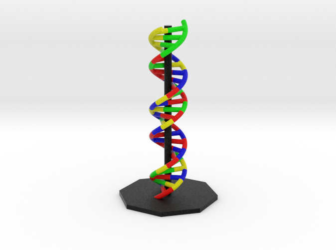 DNA Alpha Helix Molecule Model Render.