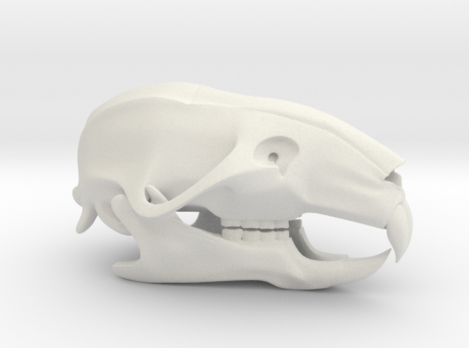 Rat Skull 3D Printed