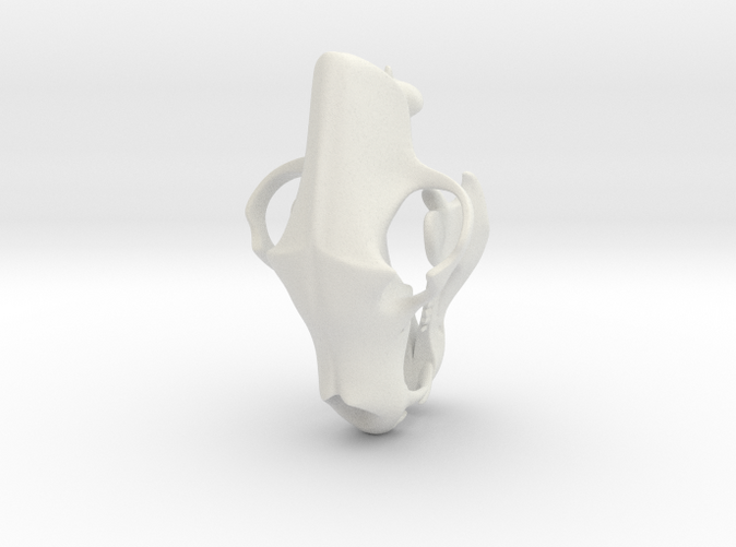 Bear Skull 3D Printed Model